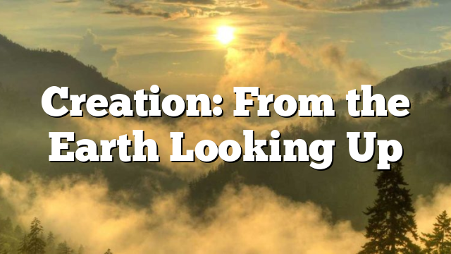 Creation: From the Earth Looking Up