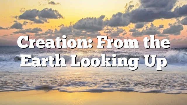 Creation: From the Earth Looking Up