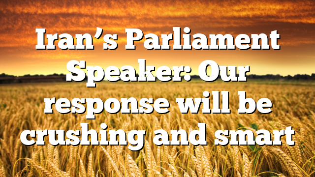 Iran’s Parliament Speaker: Our response will be crushing and smart