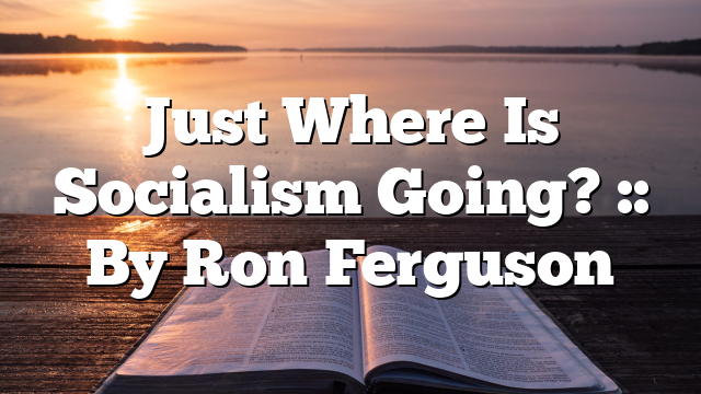 Just Where Is Socialism Going? :: By Ron Ferguson