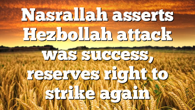 Nasrallah asserts Hezbollah attack was success, reserves right to strike again