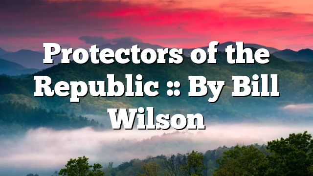 Protectors of the Republic :: By Bill Wilson