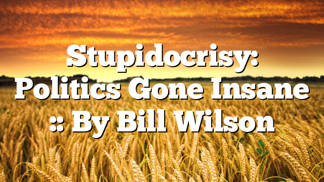 Stupidocrisy: Politics Gone Insane :: By Bill Wilson