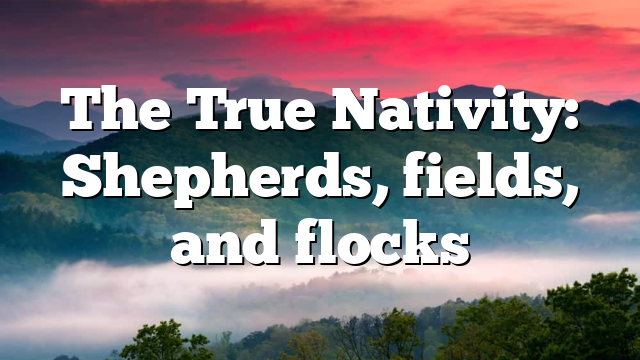 The True Nativity: Shepherds, fields, and flocks