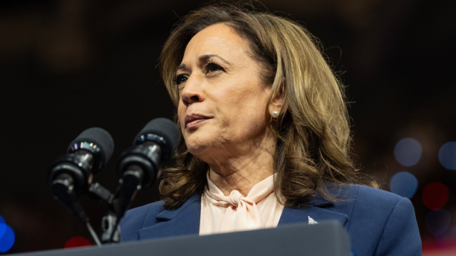 Media Bury Kamala Harris’s Disastrous First Solo Interview