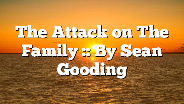 The Attack on The Family :: By Sean Gooding