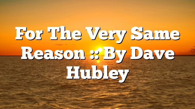 For The Very Same Reason :: By Dave Hubley