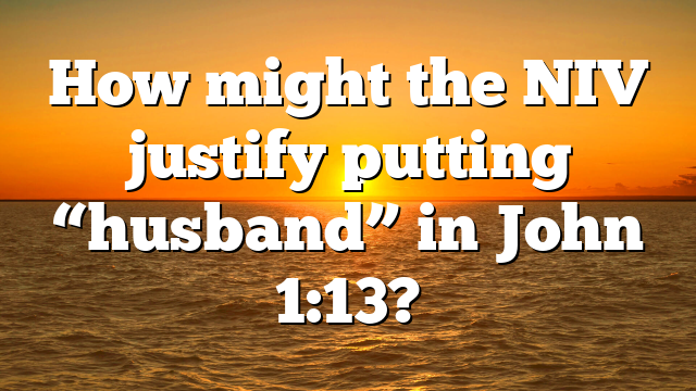 How might the NIV justify putting “husband” in John 1:13?