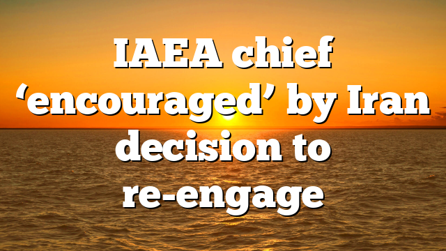 IAEA chief ‘encouraged’ by Iran decision to re-engage