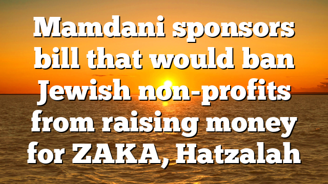 Mamdani sponsors bill that would ban Jewish non-profits from raising money for ZAKA, Hatzalah