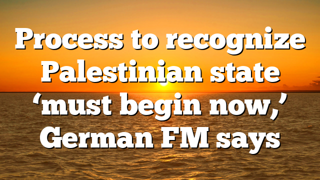 Process to recognize Palestinian state ‘must begin now,’ German FM says