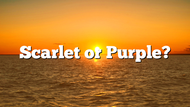 Scarlet or Purple?