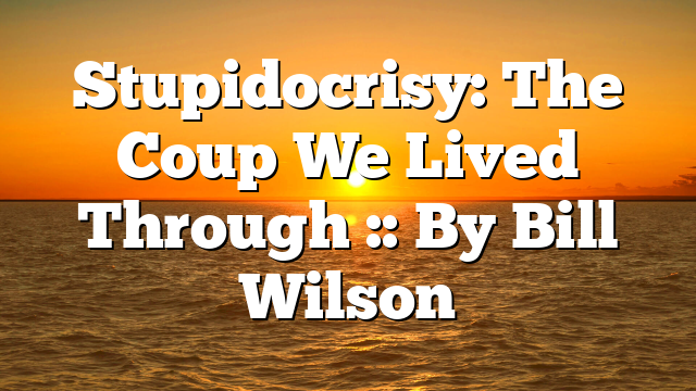 Stupidocrisy: The Coup We Lived Through :: By Bill Wilson