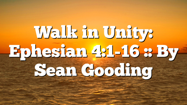 Walk in Unity: Ephesian 4:1-16 :: By Sean Gooding