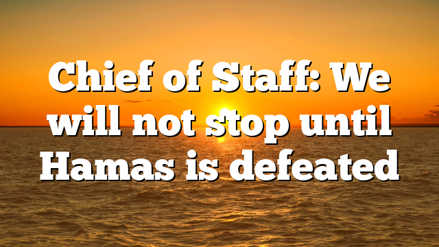 Chief of Staff: We will not stop until Hamas is defeated