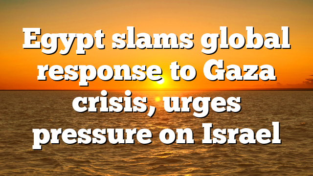 Egypt slams global response to Gaza crisis, urges pressure on Israel