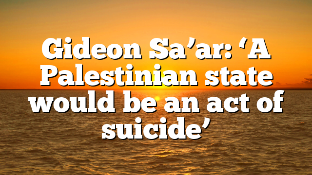 Gideon Sa’ar: ‘A Palestinian state would be an act of suicide’