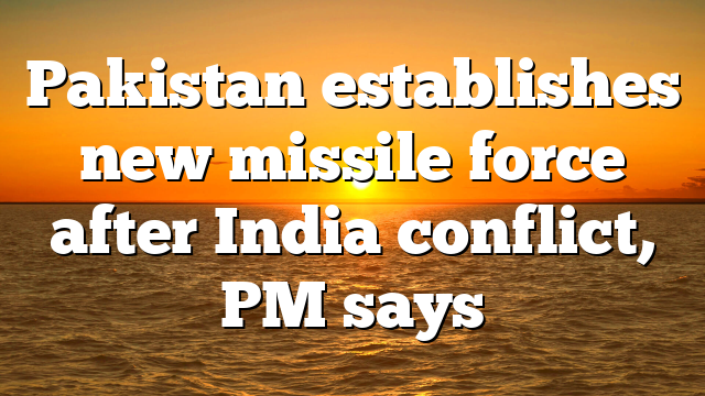 Pakistan establishes new missile force after India conflict, PM says