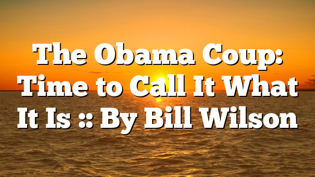 The Obama Coup: Time to Call It What It Is :: By Bill Wilson