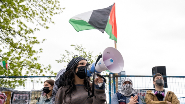 Thousands rally at pro-Palestinian marches across Australia