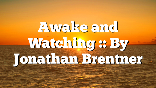 Awake and Watching :: By Jonathan Brentner