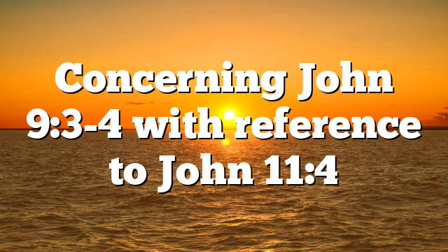 Concerning John 9:3-4 with reference to John 11:4