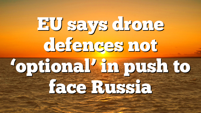 EU says drone defences not ‘optional’ in push to face Russia