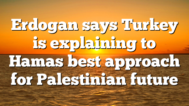 Erdogan says Turkey is explaining to Hamas best approach for Palestinian future