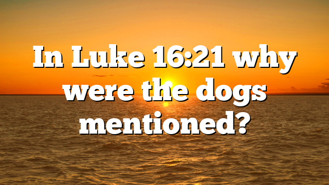 In Luke 16:21 why were the dogs mentioned?
