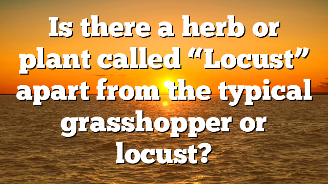 Is there a herb or plant called “Locust” apart from the typical grasshopper or locust?
