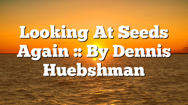 Looking At Seeds Again :: By Dennis Huebshman