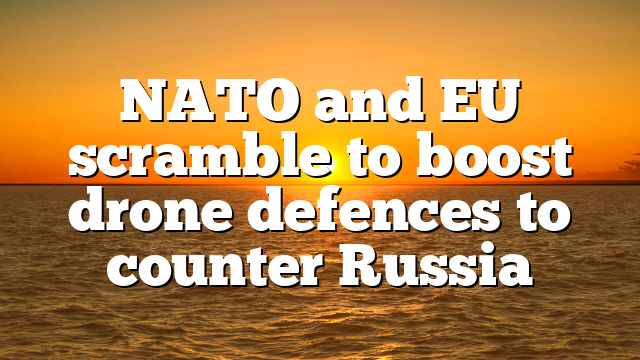 NATO and EU scramble to boost drone defences to counter Russia