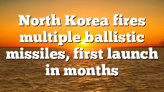 North Korea fires multiple ballistic missiles, first launch in months