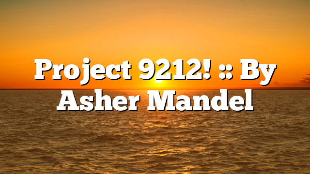 Project 9212! :: By Asher Mandel