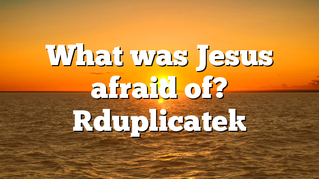 What was Jesus afraid of? [duplicate]