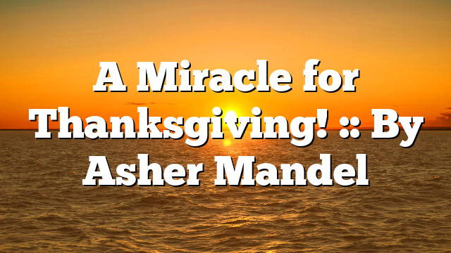 A Miracle for Thanksgiving! :: By Asher Mandel