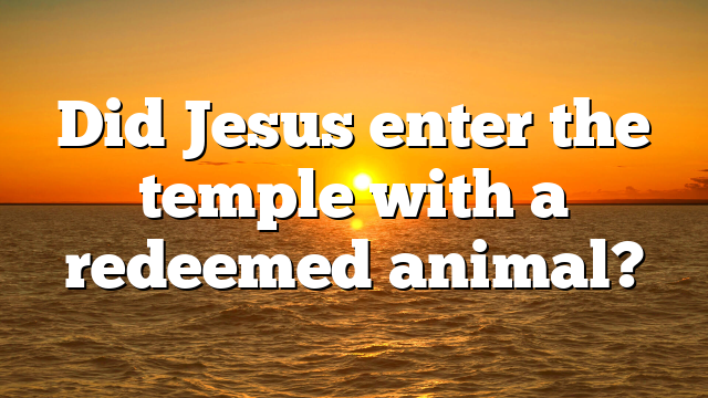 Did Jesus enter the temple with a redeemed animal?