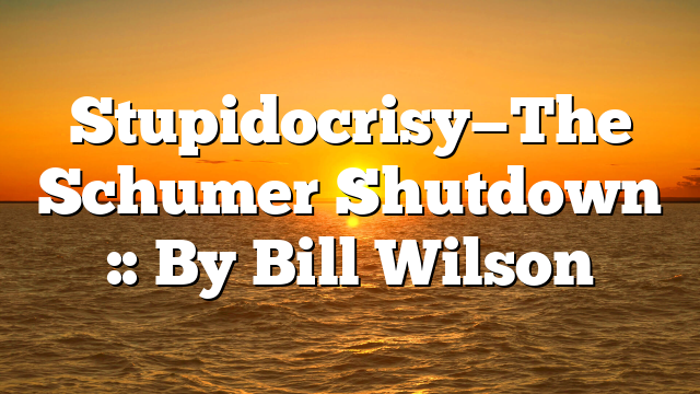 Stupidocrisy—The Schumer Shutdown :: By Bill Wilson