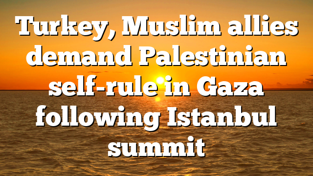 Turkey, Muslim allies demand Palestinian self-rule in Gaza following Istanbul summit
