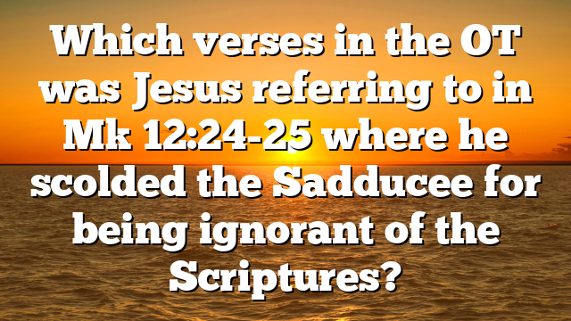 Which verses in the OT was Jesus referring to in Mk 12:24-25 where he scolded the Sadducee for being ignorant of the Scriptures?