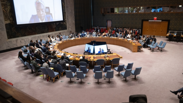 UN security council votes to endorse Donald Trump’s Gaza plan