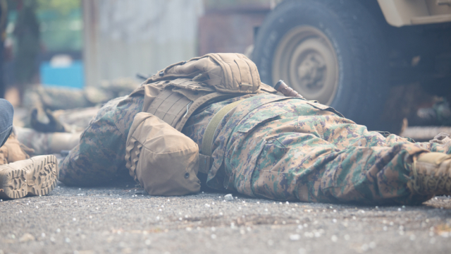 2 National Guard troops seen in jarring photo moments after being gunned down by Afghan terror suspect in DC