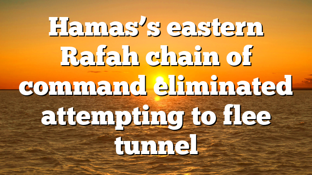 Hamas’s eastern Rafah chain of command eliminated attempting to flee tunnel