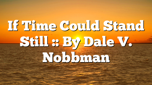 If Time Could Stand Still :: By Dale V. Nobbman