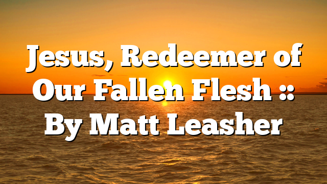 Jesus, Redeemer of Our Fallen Flesh :: By Matt Leasher