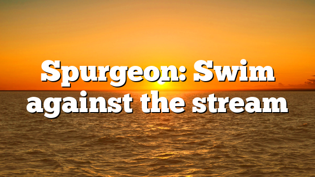 Spurgeon: Swim against the stream