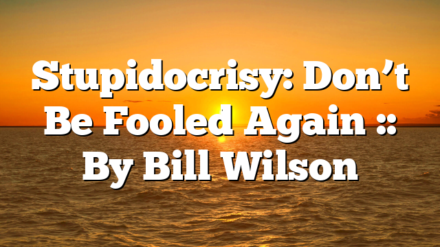 Stupidocrisy: Don’t Be Fooled Again :: By Bill Wilson