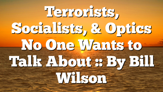 Terrorists, Socialists, & Optics No One Wants to Talk About :: By Bill Wilson