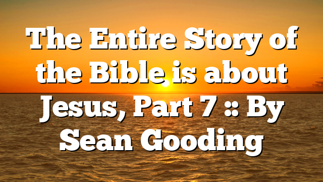 The Entire Story of the Bible is about Jesus, Part 7 :: By Sean Gooding
