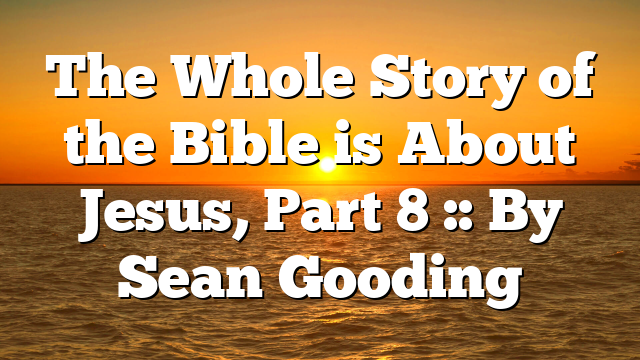 The Whole Story of the Bible is About Jesus, Part 8 :: By Sean Gooding